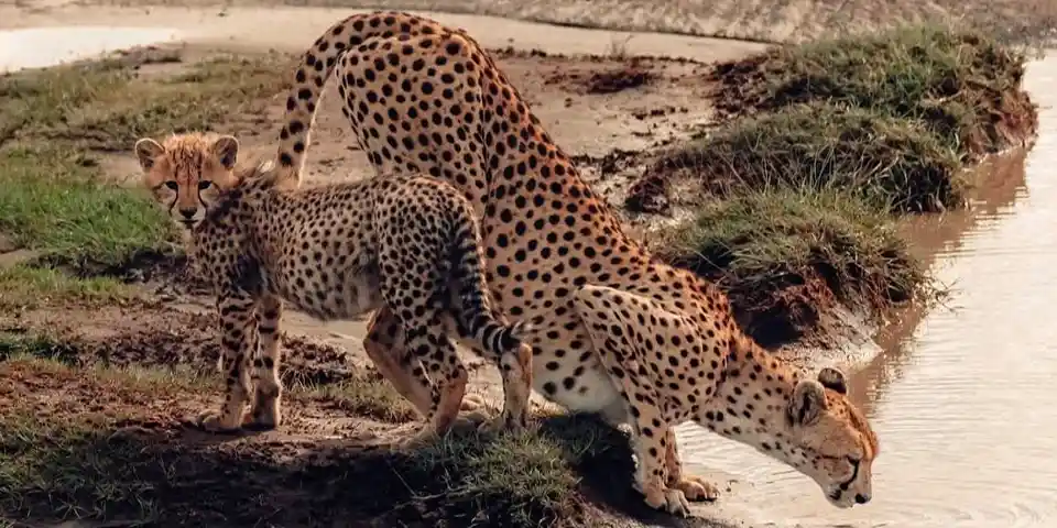 zanzibar beach luxury holiday