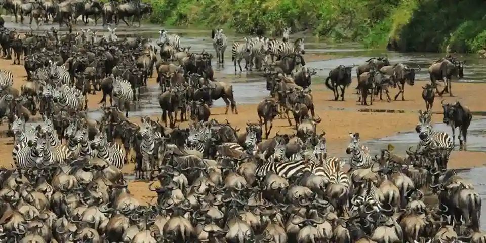 12 Days Tanzania Luxury Safari Start Arusha and Zanzibar