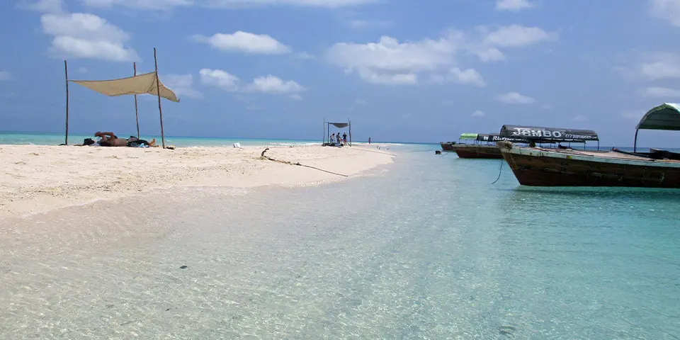 tanzania zanzibar honeymoon safari blue