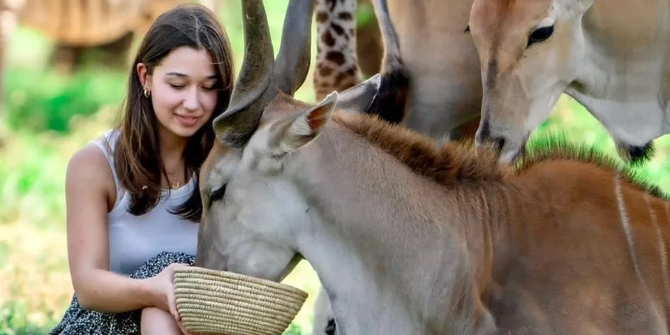 14 days tanzania safari and zanzibar beach holidays package