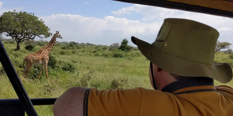 2 day tanzania safari wildlife