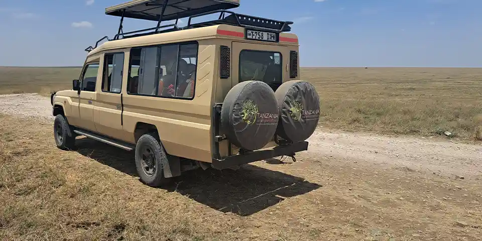 aerial safari tanzania