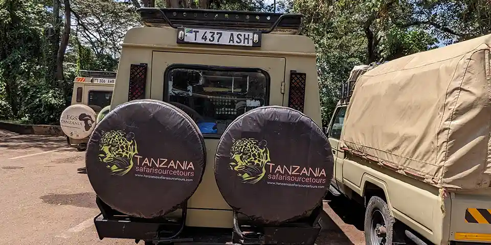 private safari tanzania affordable