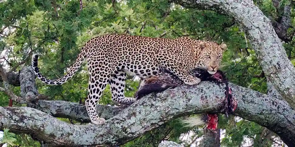 group safari tanzania budget tour