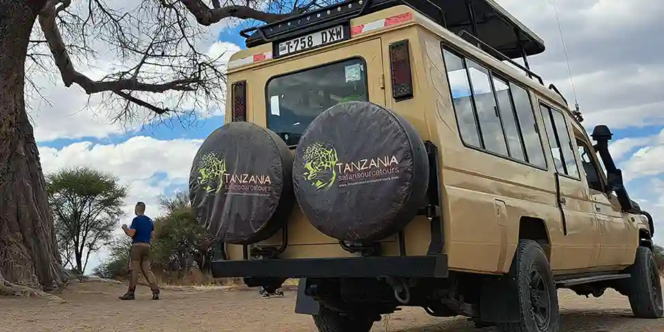 tanzania affordable safari package