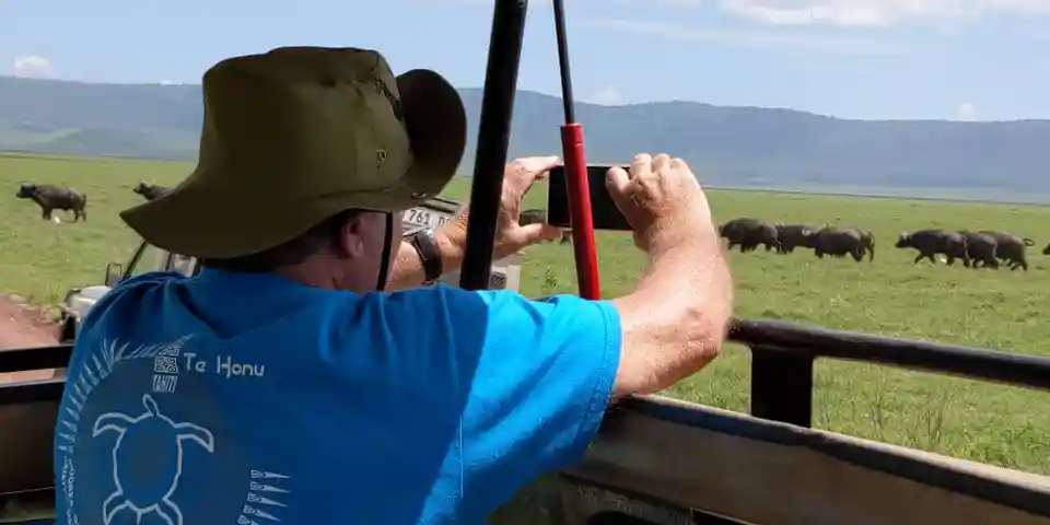 4 days affordable safari tanzania serengeti