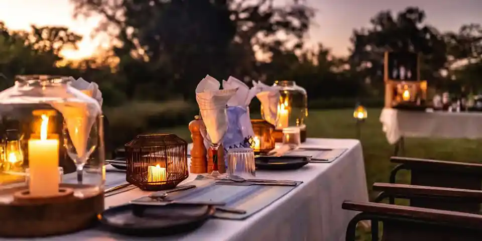 tanzania wildlife luxury safari