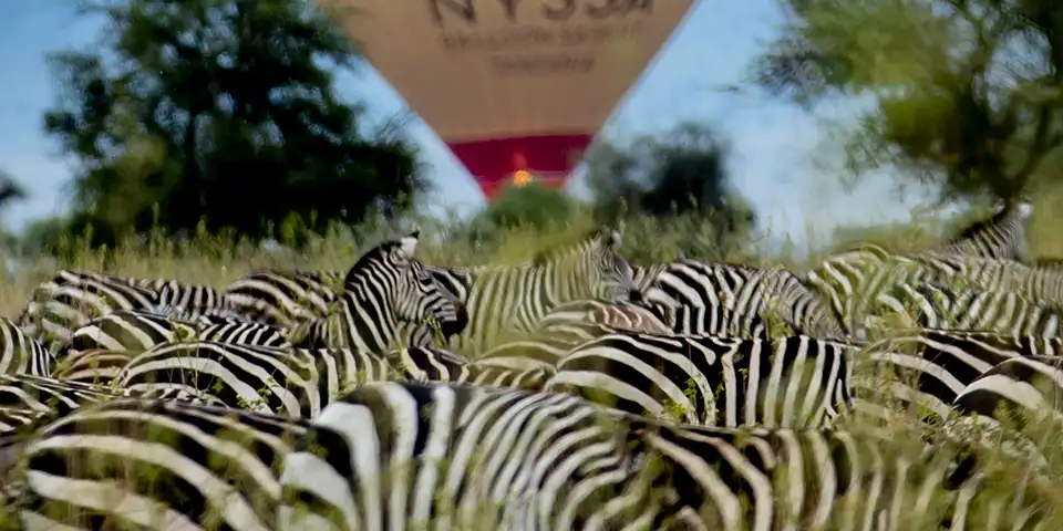 4 days serengeti hot air balloon safari aerial view