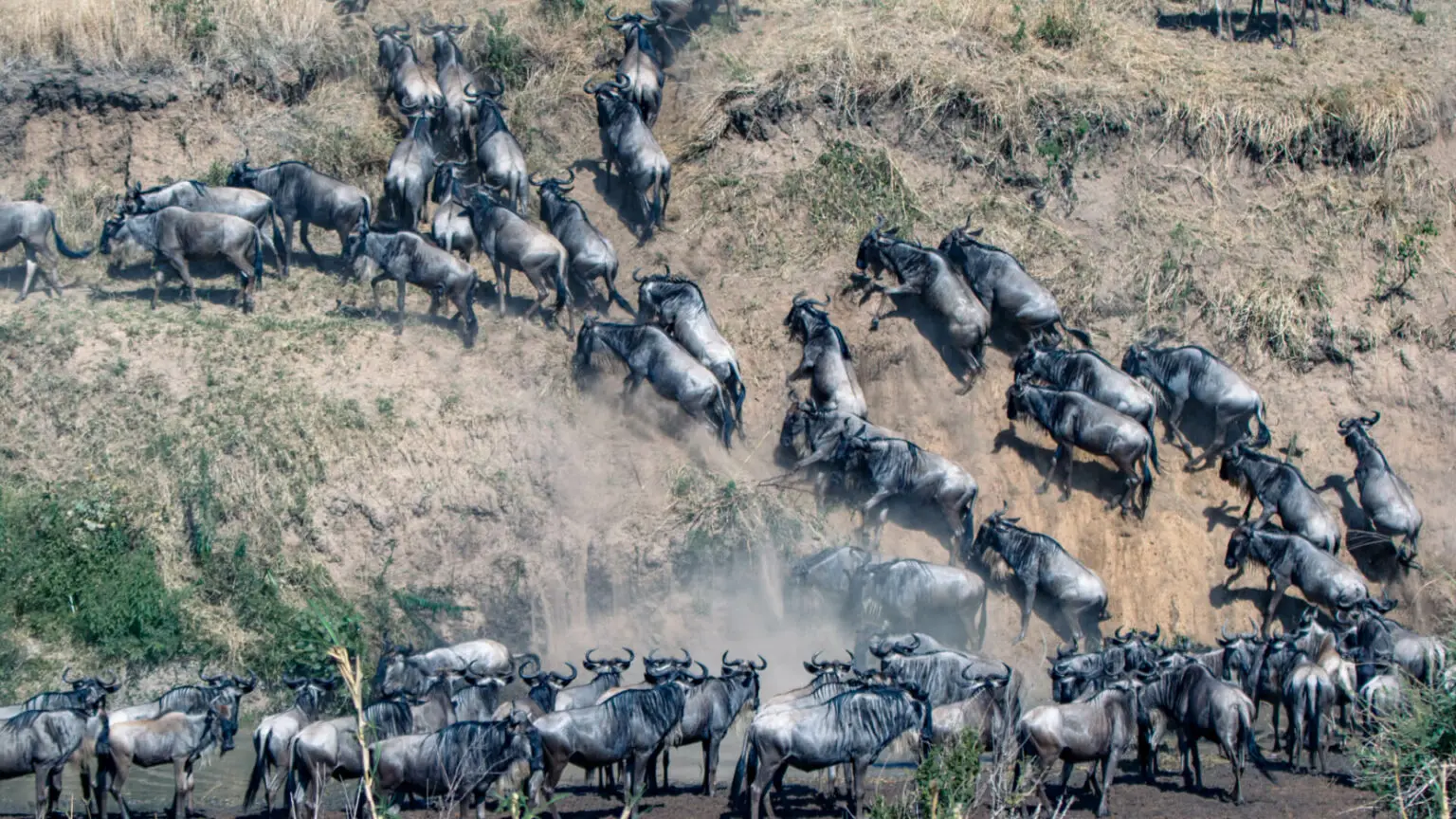 4 days Serengeti river crossing safari Tanzania 2026