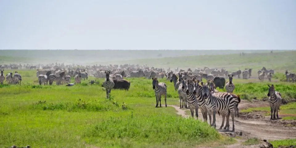 5 Days Tanzania New year Holidays package