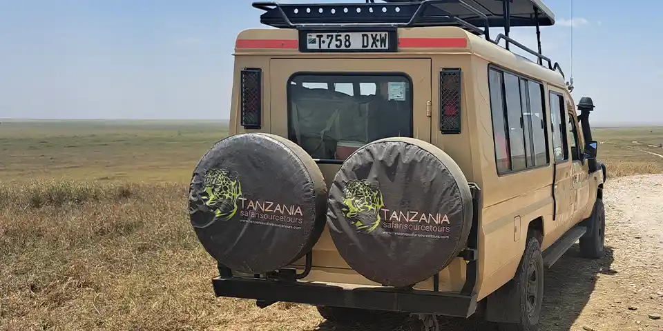 5 Days Affordable Private Safari