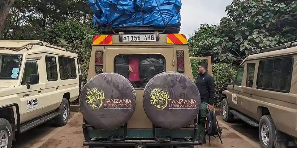 affordable safari tanzania for 5 days tarangire elephants