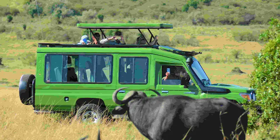 5 days joining safari start arusha ngorongoro crater
