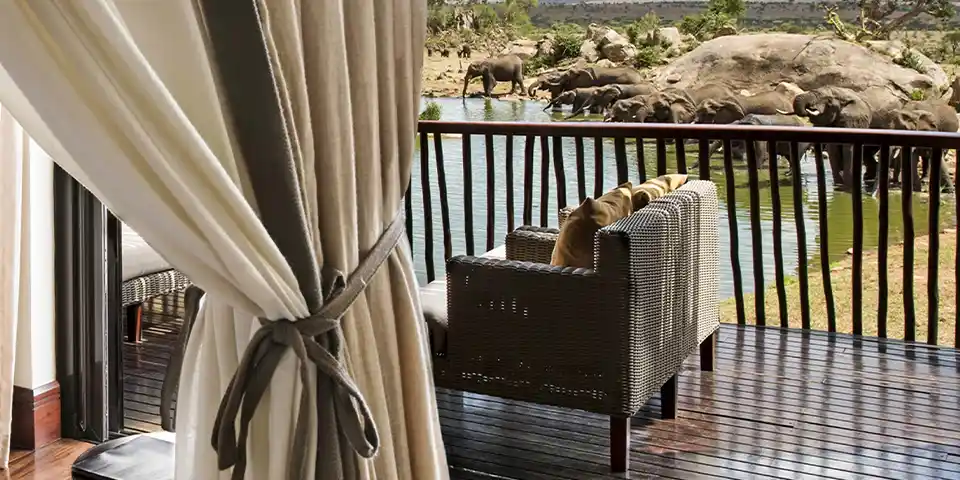 5 Days Luxury Family Safari