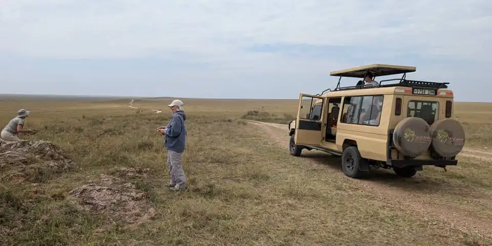 6 days affordable safari lake manyara national park