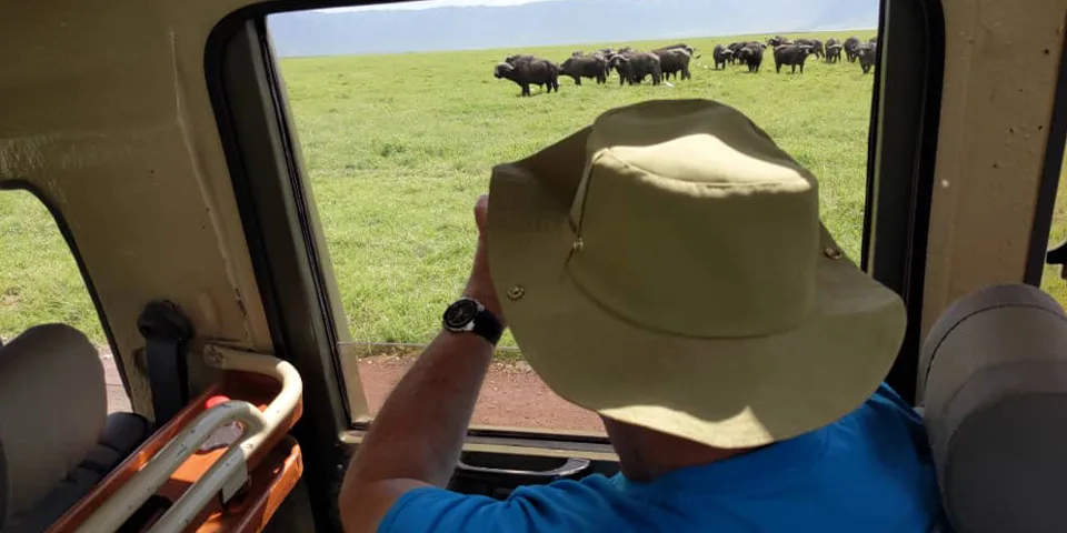 affordable safari ngorongoro crater starting arusha