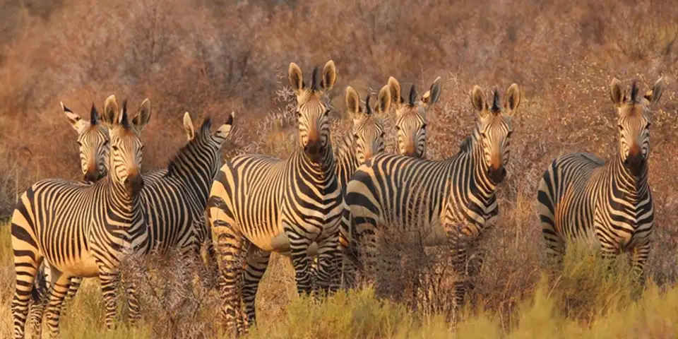 6 days group joining safari start arusha lake manyara national park