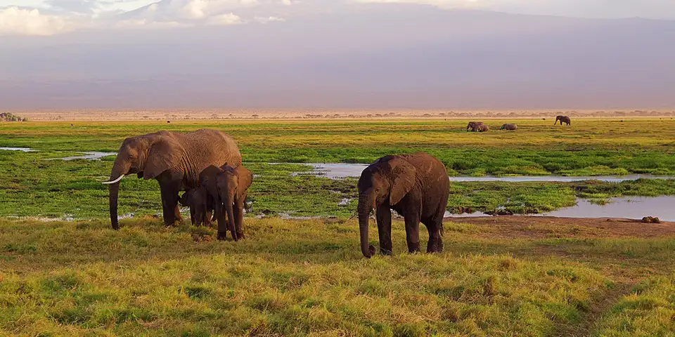 6 days group joining safari start arusha serengeti national park