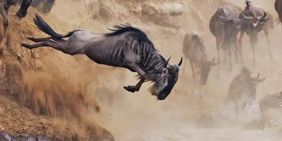 6 days serengeti and zanzibar honeymoon safari luxury camp