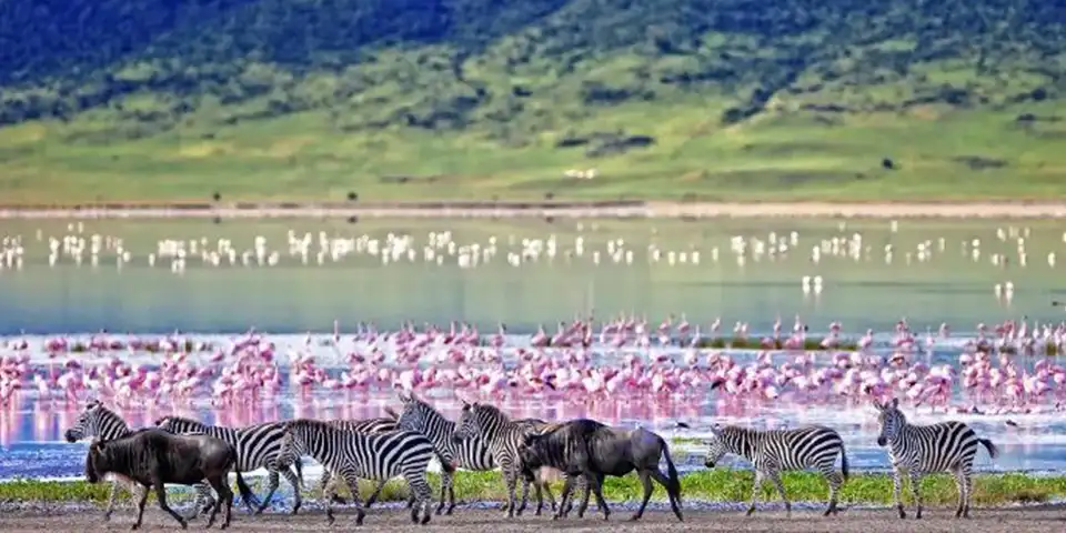 ngorongoro crater luxury safari start arusha