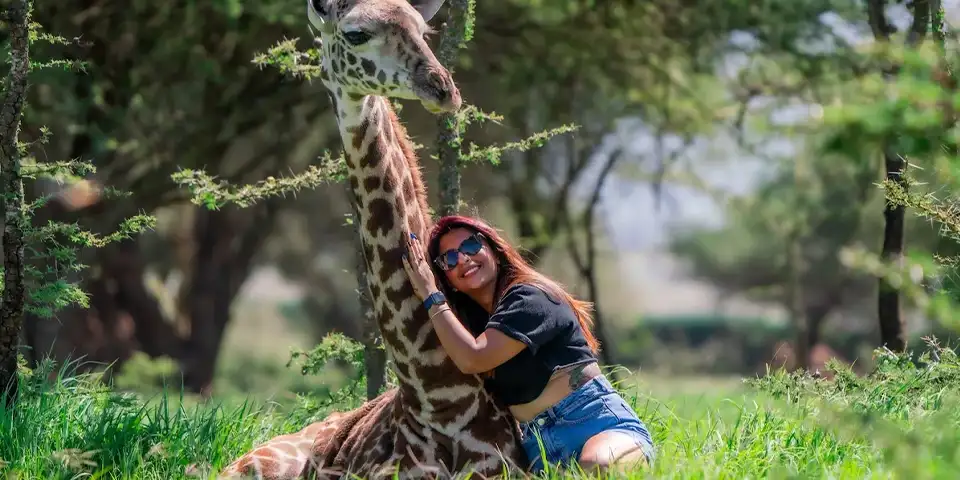 7 days family safari serval wildlife siha kilimanjaro