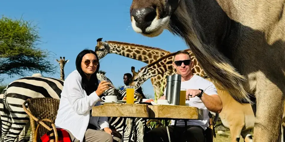 7 days tanzania honeymoon safari siha kilimanjaro serval