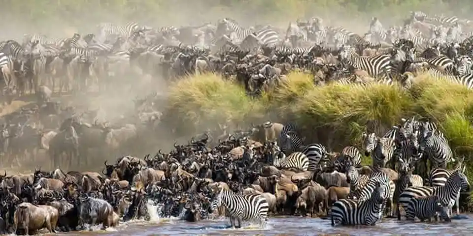 honeymoon safari serengeti tanzania