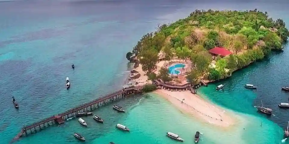 9 Days Luxury Tanzania Safari from Arusha and Zanzibar