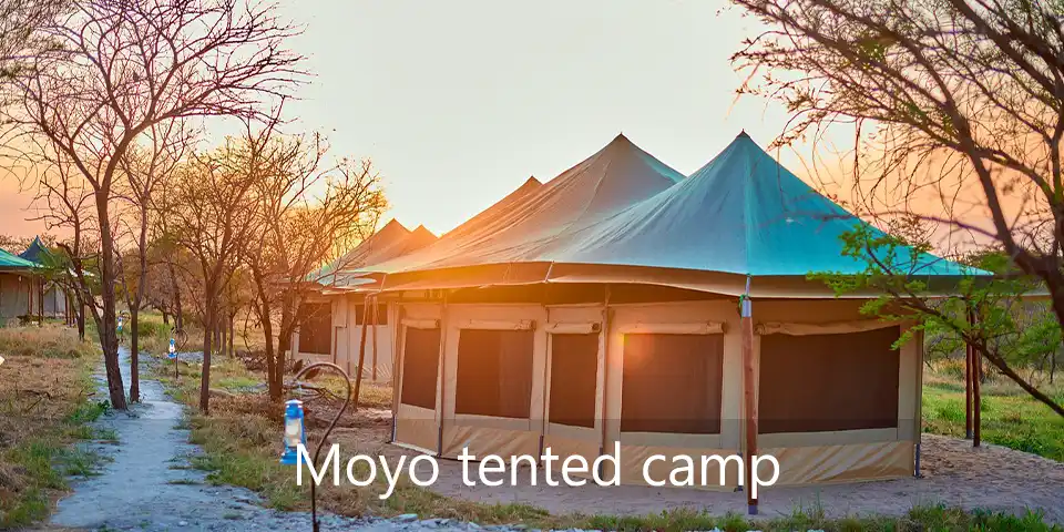 Serengeti migration view