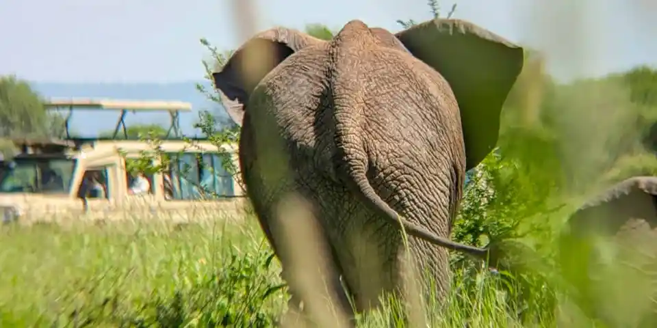 Joining budget Tanzania safari tour to Ngorongoro Crater