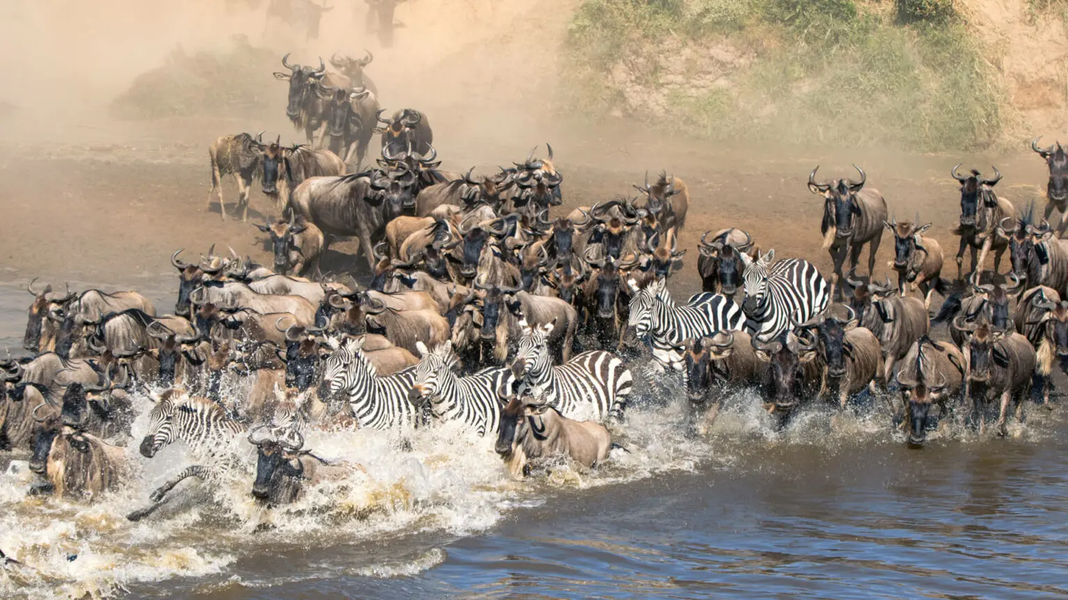 Cheap and budget great migration 4 Days safari