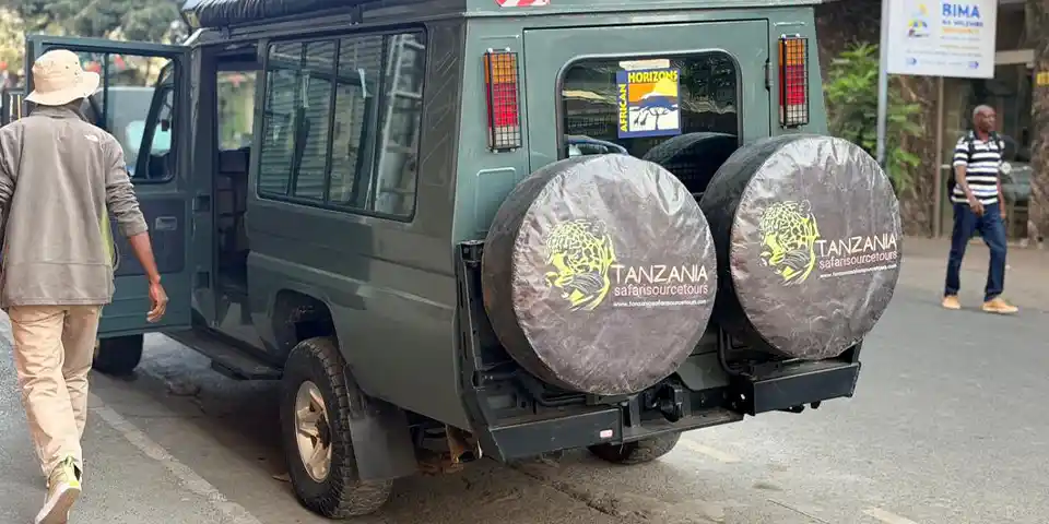 Tanzania Christmas safari experience