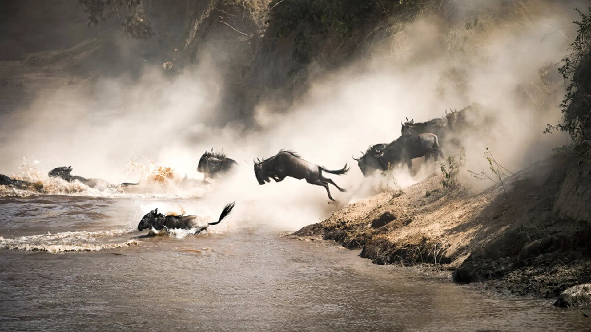 14 days great migration safari serengeti wildebeest crossing