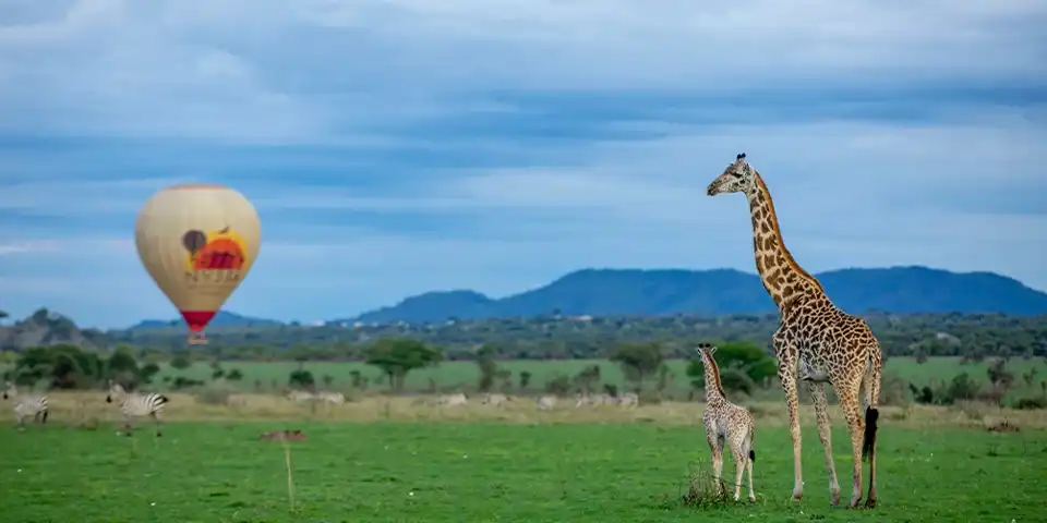 Tanzania landscape January safari season