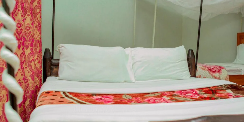 Budget shared safari Tanzania experience in Serengeti National Park