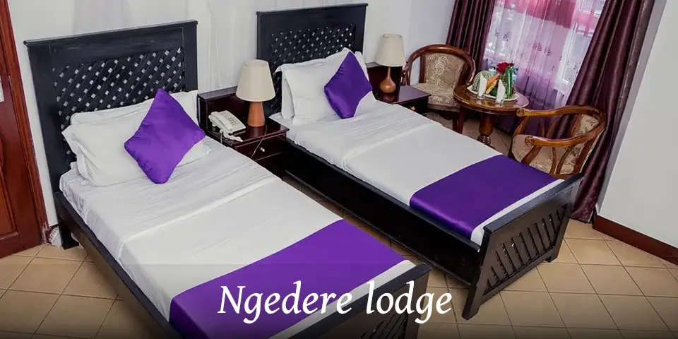 Group joining safari Tanzania package in Tarangire and Serengeti