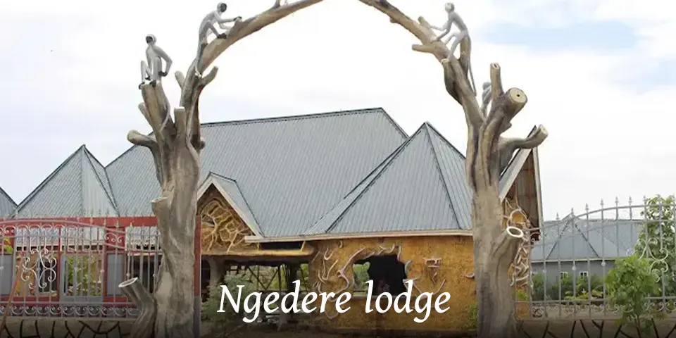 Budget group safari Tanzania experience in Serengeti National Park