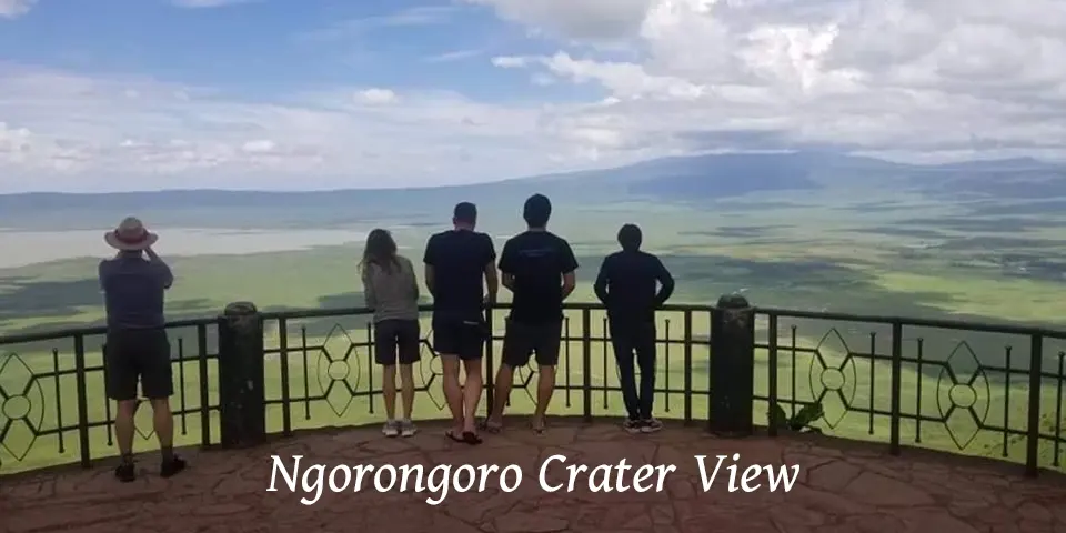 calving season photography