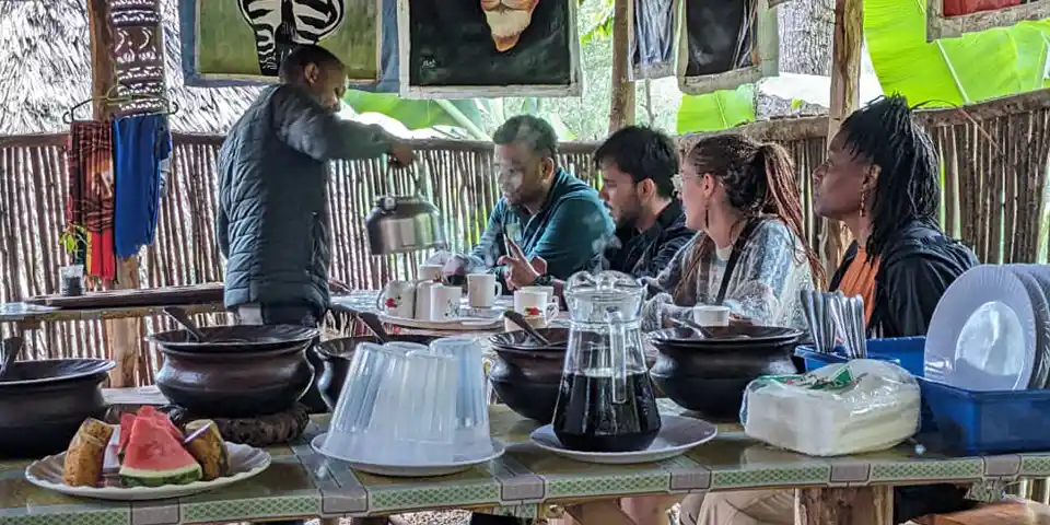 tanzania new year safari serengeti national park