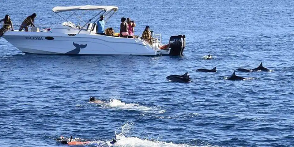 zanzibar new year holidays stone town