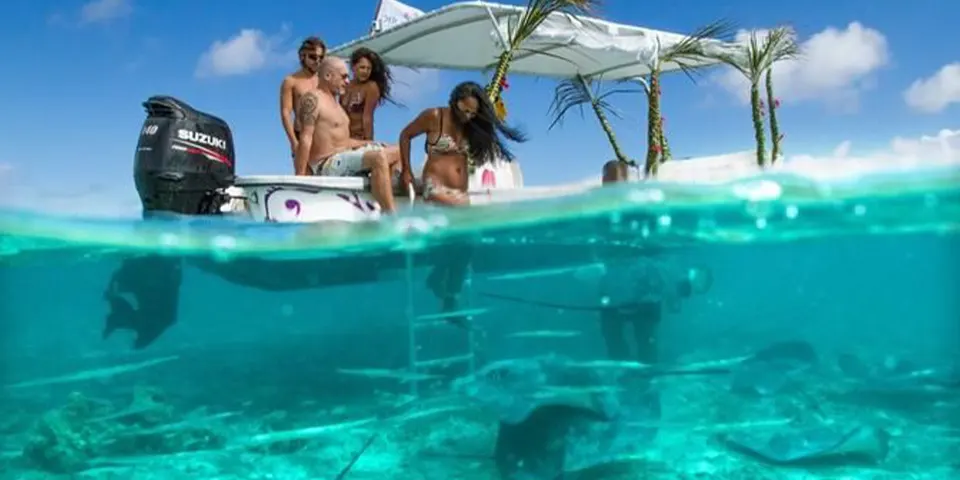 zanzibar holidays mnemba beach