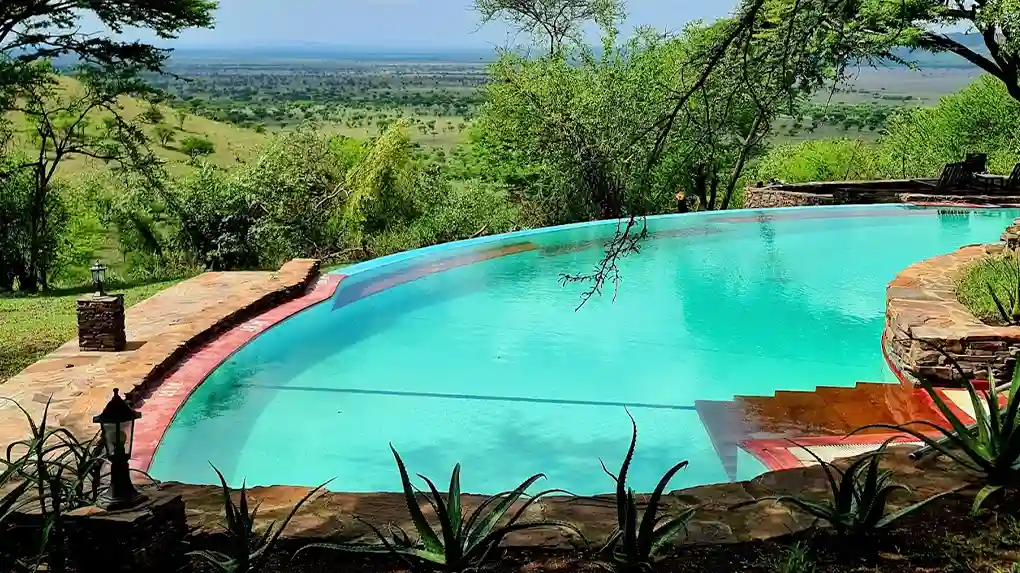 2 days luxury safari tanzania package