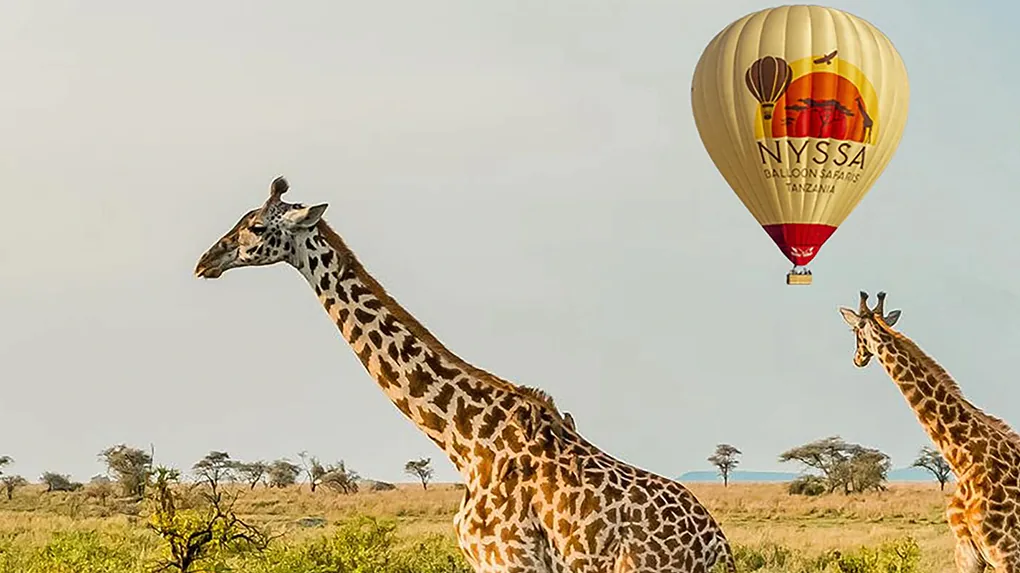 3 days honeymoon balloon safari serengeti 2026 - 2027