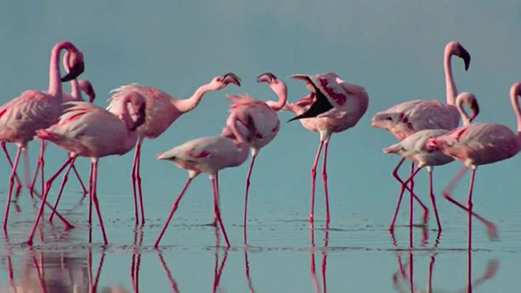 5 Days Budget Safari Tanzania