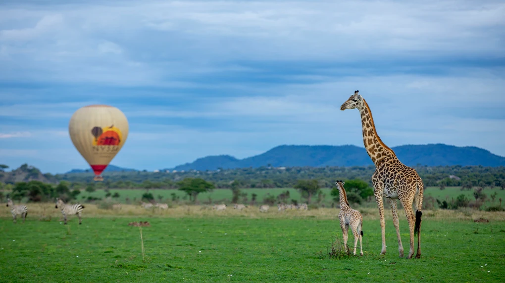 5 days hot air balloon safari serengeti 2026 - 2027