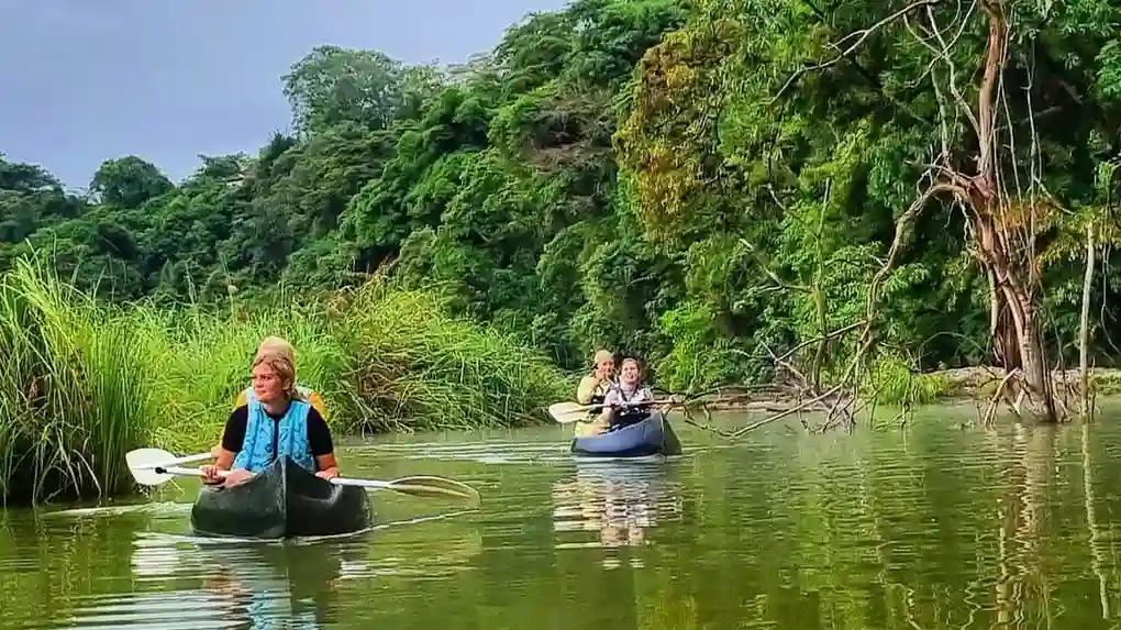 6 Days Budget Safari Start Arusha