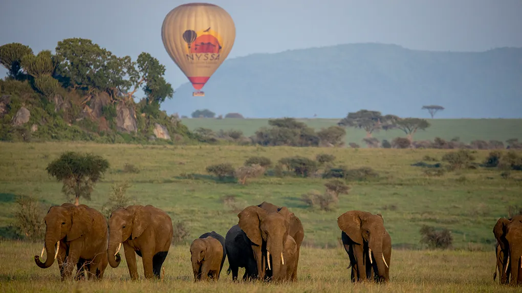 2-16 day Serengeti balloon safari packages by Tanzania Safari Source Tours - Best safari company in Tanzania