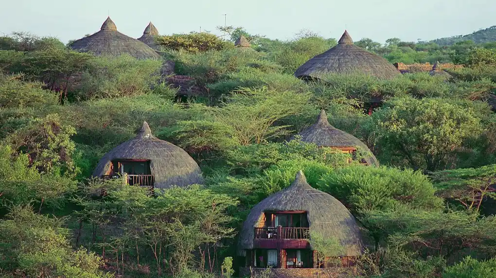 Luxury lodge safaris Tanzania with premium accommodations