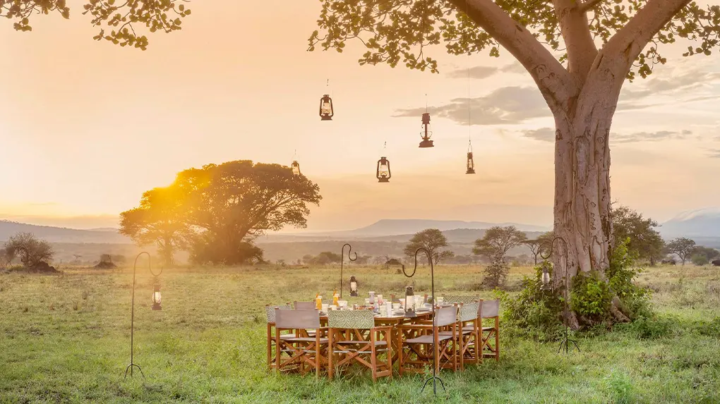 Exclusive luxury safari tanzania 2026 - 2027 package