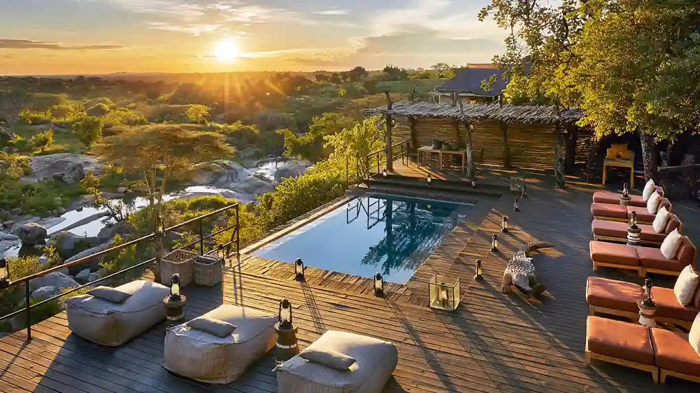 Luxury Safari Tanzania - Exclusive Wildlife Experience 2026-2027
